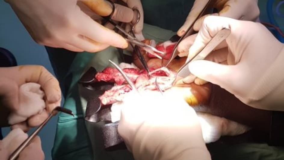 Thumbnail for The History and Development of Plastic & Reconstructive Surgery