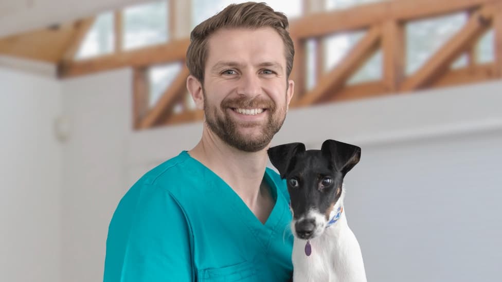 Thumbnail for Know Your Award - Animal Care and Veterinary Services Award 2020 (for veterinary practices)