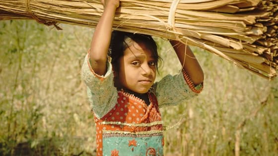 Thumbnail for Safeguarding vulnerable people in healthcare settings