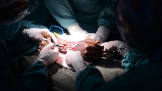 Thumbnail for Tendon Injuries and Reconstruction