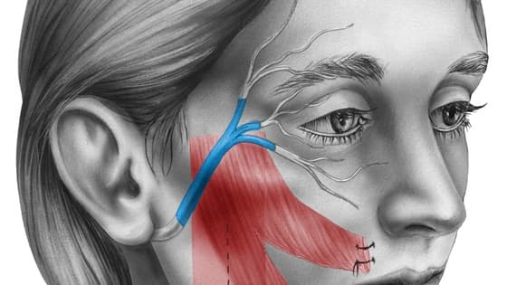 Thumbnail for Principles of Plastic Surgery: Facial Reanimation