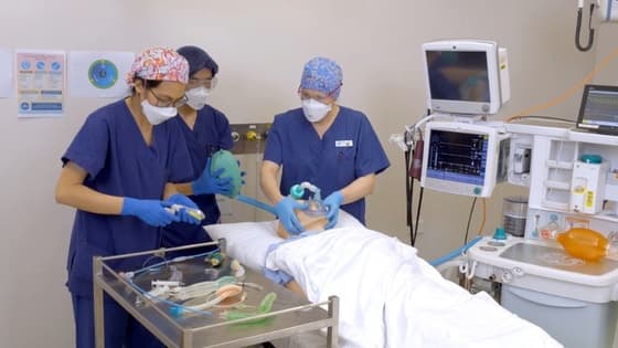 Thumbnail for The Vortex approach to safe airway management