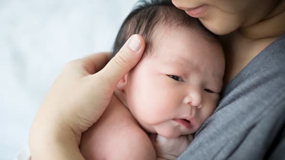 Image for The RSV Mother and Infant Protection Program (RSV-MIPP) - A practical guide to the GP's role